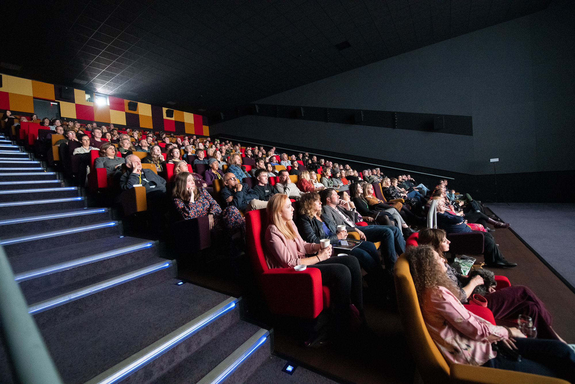 people sat in a cinema