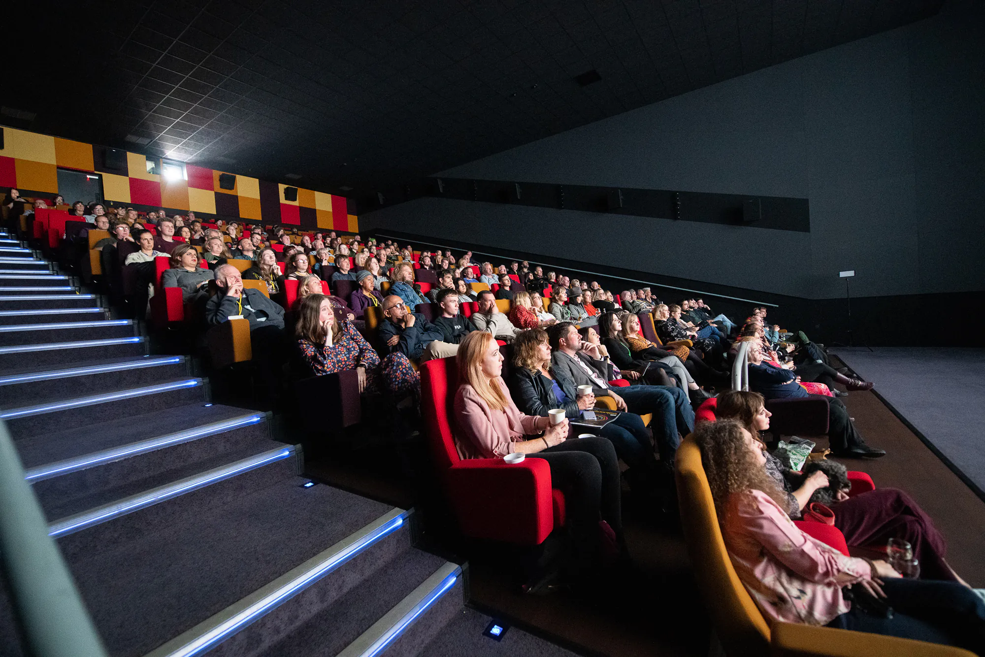people sat in a cinema